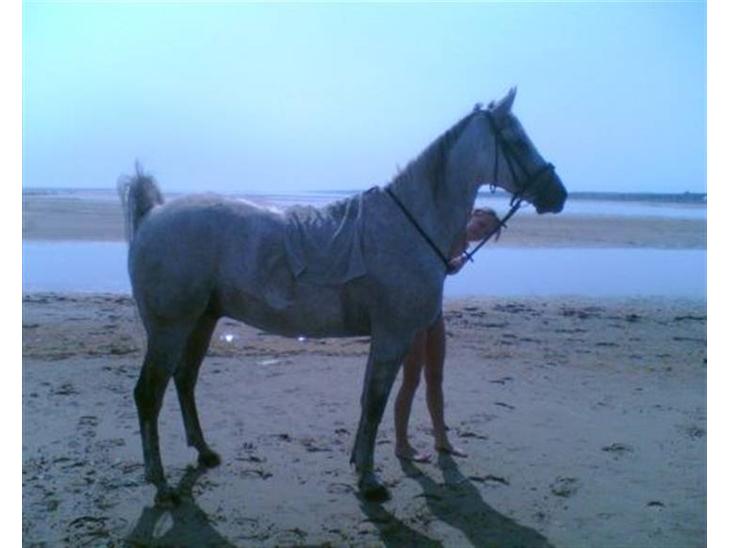 Min første hest var unavngivet - så jeg døbte ham Twixi